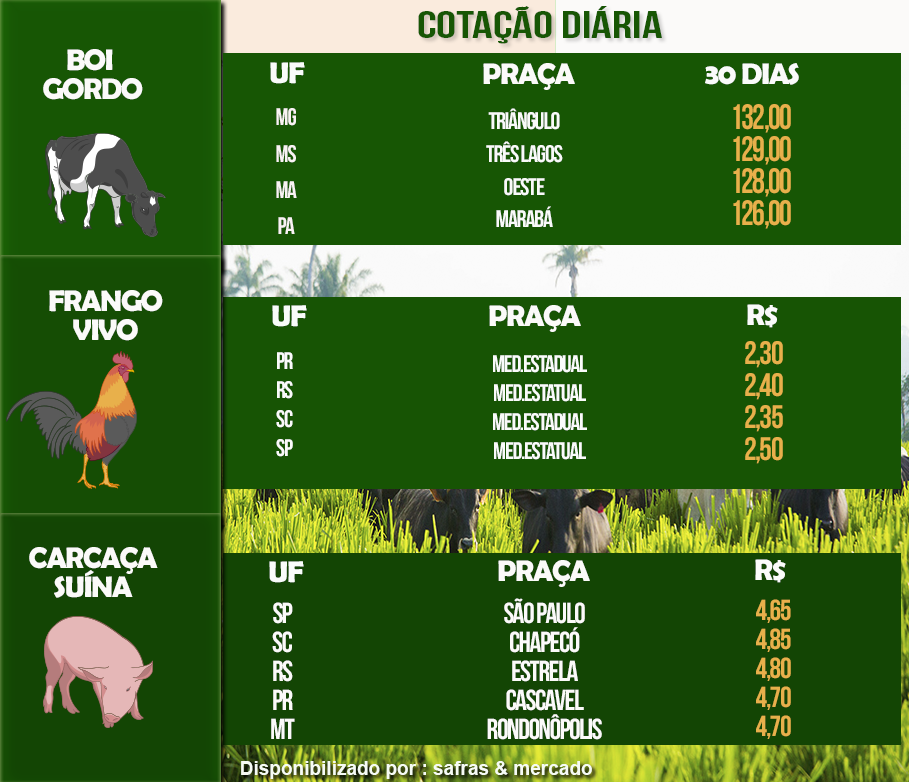 Indicadores